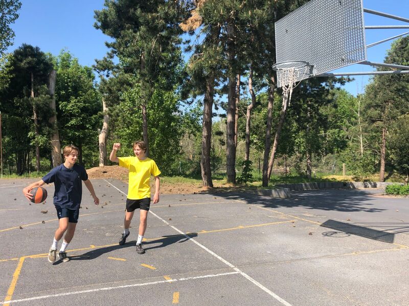 Basket (Aangepast).jpg